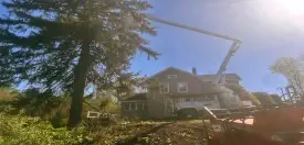 CM Tree Service LLC Connecticut hazardous tree removal picture